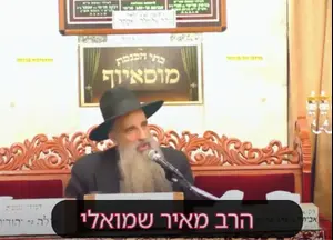 "רופאים ערבים רוצחים יותר מחמאס": כתב אישום נגד הרב והפעילה שהפיצה את דבריו