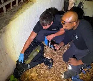 טיל לאו אותר בלב שכונת מגורים ברמלה: "ארגוני הפשיעה מתחמשים על הגב של צה"ל"
