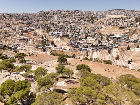 גם תנובה ובורגראנץ': החברות הישראליות החדשות ב"רשימה השחורה" של האו"ם