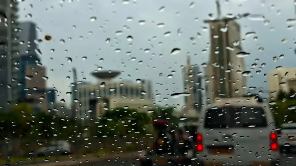 גשם וירידה בטמפרטורות: מזג האוויר הסגרירי יימשך גם בשבת | התחזית