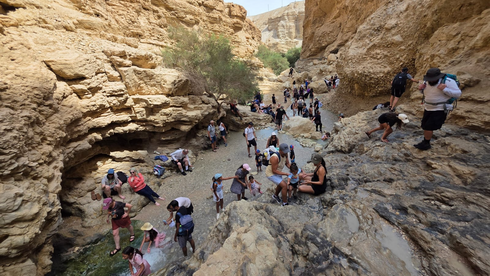 דפוסים מלפני המלחמה: קרוב למיליון איש טיילו בארץ בחג | הגשמים שירדו – והתחזית